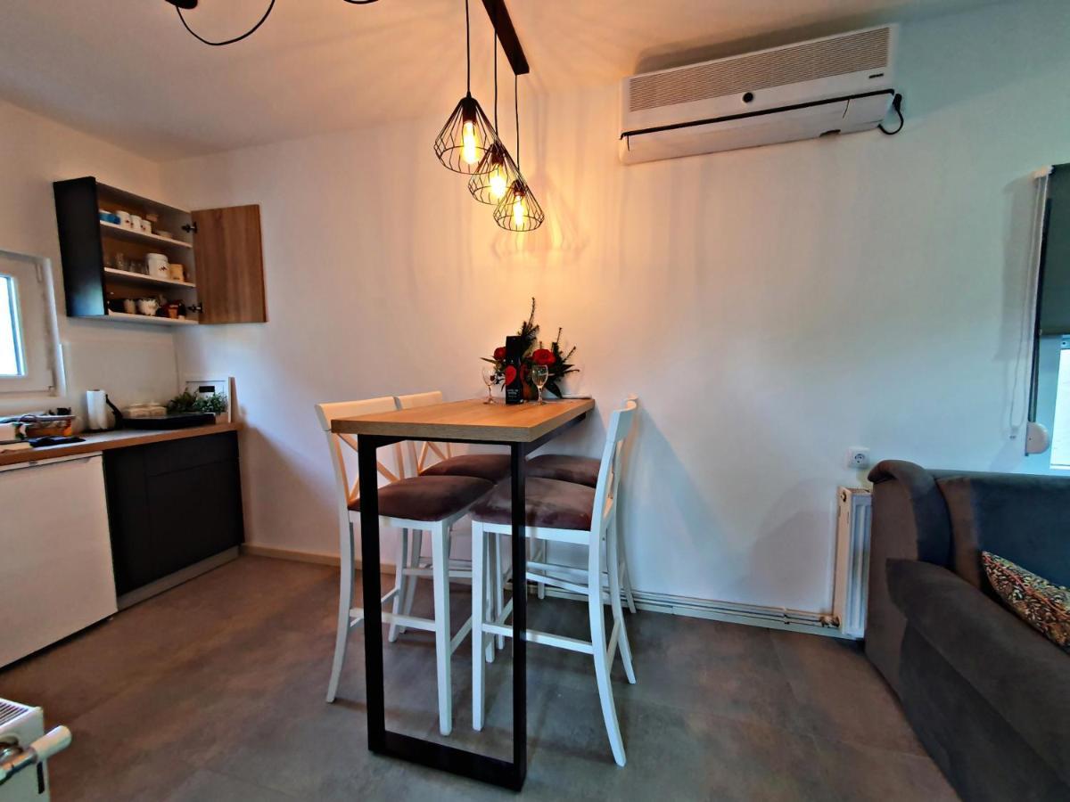 Luxor Apartmani 2 Vrnjačka Banja Extérieur photo