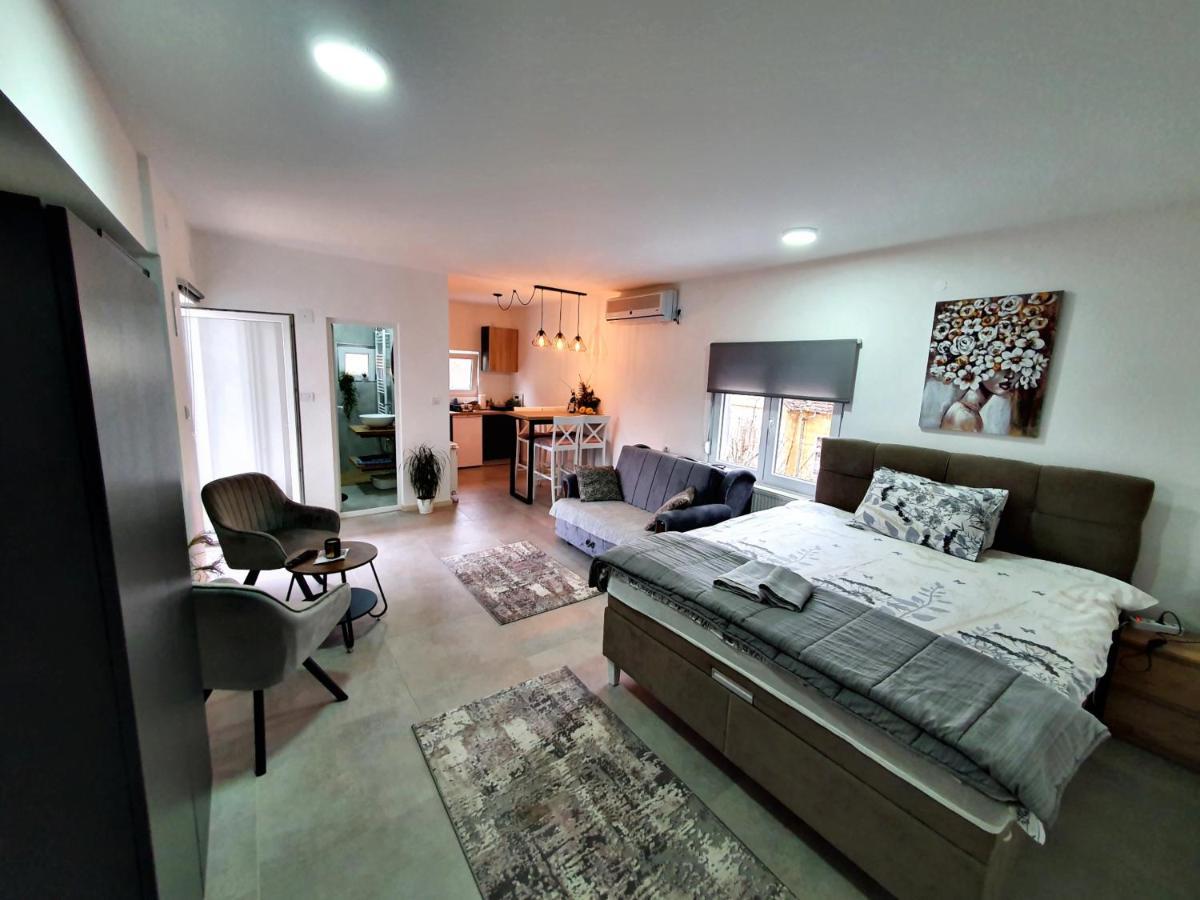 Luxor Apartmani 2 Vrnjačka Banja Extérieur photo